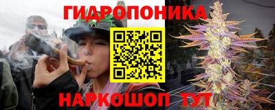 Альфа ПВП Гусев