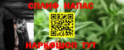 PSILOCYBIN Гусиноозёрск