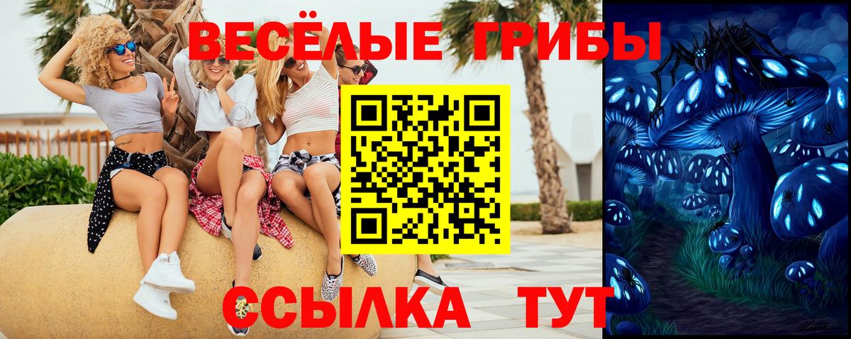 Псилоцибиновые грибы мицелий Нефтекумск