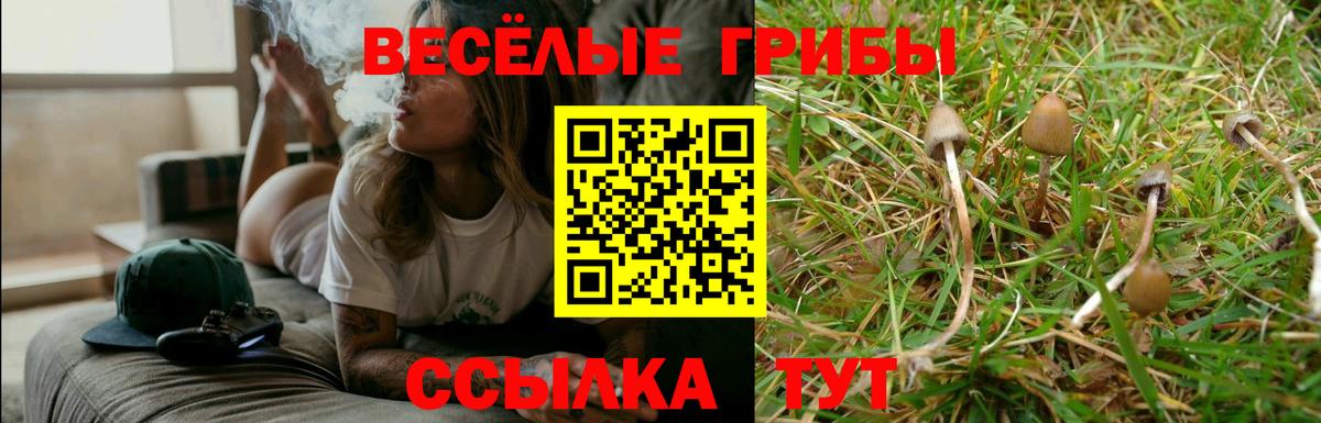 Галлюциногенные грибы мицелий  Вход с VPN  Нефтекумск  Псилоцибиновые грибы прущие грибы 
